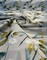 1 Yard Damselflies Aqua Dragonflies 100% Polyester Upholstery Drapery Fabric